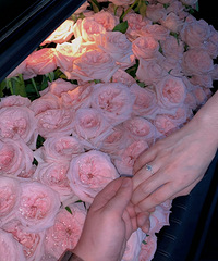 ��ϲ��������� ���ᶨ��ѡ��ʤ��һ�е�����