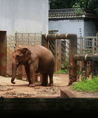 ����һ���������𳵳��� 20Ԫ�Ķ���԰�Լ۱Ⱥܸߣ�