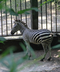 ����һ���������𳵳��� 20Ԫ�Ķ���԰�Լ۱Ⱥܸߣ�