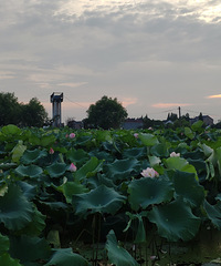 �úɻ����ڻ�û�� ������ȥ���ɻ� ��������Ҳ�ܺÿ�