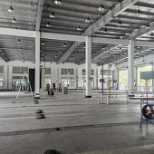 ���������ĩ���찡��