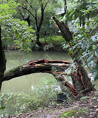 ���̨�绹�Ǻ��͵ģ��ź��޹�԰��ļ��Ŵ������������ˡ�