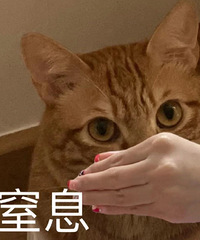 �����˶�ɳ���ĺ춹ɳһ����ζ������̫�ȣ����ע����װ���