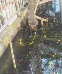 ����ĺӵ������ݷ��� ��Ҫ���ĸ����ŷ�ӳ��