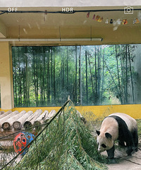 ����Ұ������԰�ļ����ϳ���Ӫҵ�������㡢��չ...������һ��