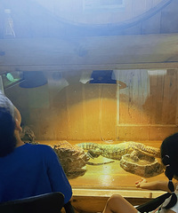 ����Ұ������԰�ļ����ϳ���Ӫҵ�������㡢��չ...������һ��