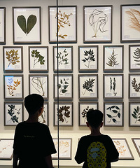 ���˲���ݲ�ƷԽ��Խ�ḻ�ˣ����ʺϴ�������俴�� �˽���ˣ�