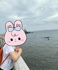 ������ȥɽ����̨���� ȥ����ݿ����� ����������������