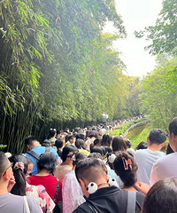 ���ڼ�������Ů�����ˣ��ɶ���è�����о�������������...