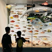 ����ݲ�ƷԽ��Խ�ḻ