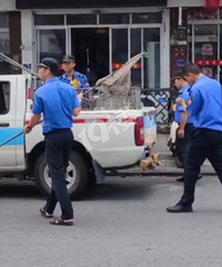 �����еط��ڲ��޹���ǣ���ˣ�ûǣ���Ĺ�ֱ�ӱ������ˡ�