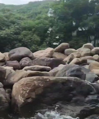 Ư������һ���˼��ˣ�С���ѵ�һ����� �ر���˷�