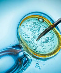 �Թ�Ӥ��1����2����3����4���ĸ��ã����ƹ��̺ͷ���ȫ�⣡