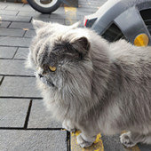 3��2�� 91��