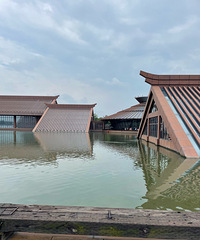 ��11��Ǯ���ܵ��Ϻ������ӵ���С������ҵ�̼��� ȥ�˻��ֹ�