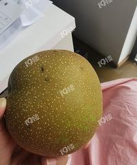 �����ϰ�ߵ����� ����˰� ̫�������ˣ�