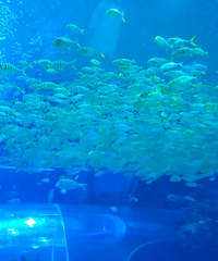 һ����Ҫȥ�ü��˵����кͶ��� �ٳ���ţ�ﶼ����סС���ѵ�����