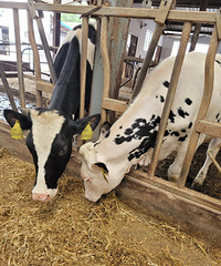 һ����Ҫȥ�ü��˵����кͶ��� �ٳ���ţ�ﶼ����סС���ѵ�����