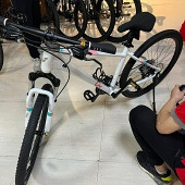 �Ϲ������͵���Ϧ����