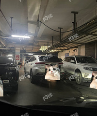 ƽ�����󷢵���ͣ������ֱ�ˣ�ʲô��ͣ��ţ�������У�