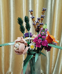 �Լ�ƴ������Ȥ ���껹����һֱ���� �о����滨����