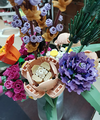 �Լ�ƴ������Ȥ ���껹����һֱ���� �о����滨����