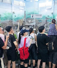 ����è���������͡�����������賿�ִﺼ�ݵ��¼ң�