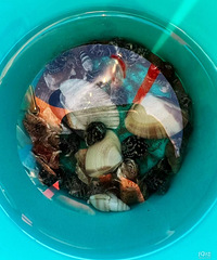 ���ڲ�֪��ȥ���������ȥ�ൺ�����ɣ�̤̤�˹���Ͻָо����ˣ�