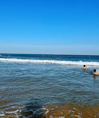 ���ڲ�֪��ȥ���������ȥ�ൺ�����ɣ�̤̤�˹���Ͻָо����ˣ�