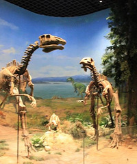 ��ٳ�ȥ����Ҫ�Ǵ���Ҫ���� ����ݾ�ͦ�õģ�