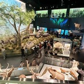 ��Ȼ����ݺܲ���