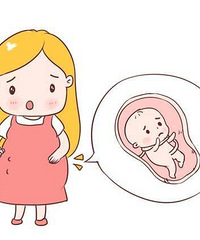 ��֪����Ҷ�����ʲô�����Ʊ�����Ŵ�������û��Ҹë