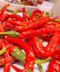 �Լ��ֵ��������Ƿ��� �����������ܳ��������׷�