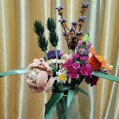 ��Ϧ���ָ�������