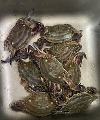 [�����]����ĵ�һ������з�������������շ���