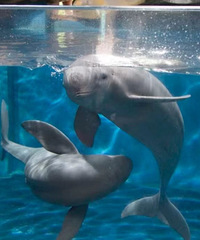 ���ݳ��Ǽ��غ���԰���泡�ݺܶ� �׾������ι���������