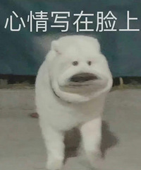 邻居家鞋子放楼道怎么办?多次委婉表示都没有用...