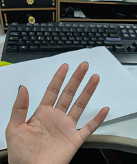 ˳����Ȼ�Ľ��