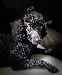 ��������Ȯ��������·��ׯǰ·��ʧ��