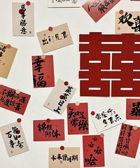 �����Ѻ�ţ��20+�Ļ��񱳾�ǽ���վ޳�Ƭ��