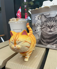 ä����Ļ����� ˭�ܾܾ���Сèä�б������һ�ף�