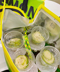 [��Ʒ�Ƽ�]�������ʲ�Ŀ��Գ��ˣ����ʺ�����Ŷ��