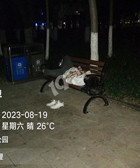 �賿4������һ��Ǻӱ����˸��˰ѳ������̸������ˣ�