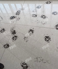 ��ӭ���Ͷ��������ҵĴ��� �ֺ����ֺ�Ц