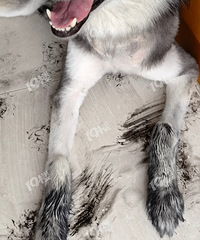 ��ӭ���Ͷ��������ҵĴ��� �ֺ����ֺ�Ц