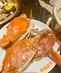 [�µ�]����ܻ�ĺ�������������3���Ϳ�ʼ�Ŷ�