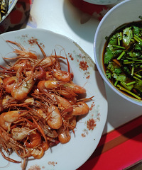 �����µĿ��֣�СϪ������ץϺ������ ����С��Ϻ����ζ��