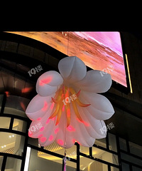 ���˵��̳����ڶ���ƴ���ϰ˰۰������¶����ݷ���ġ�