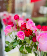 ��������ϲӭ��Ϧ�ڣ���ҵ��׼����õ�壡