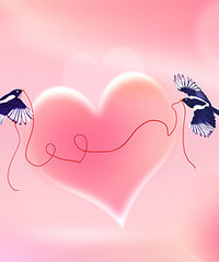 ������Ϧ����ֵĹ������������ģ�����յ��Ļ������ر�